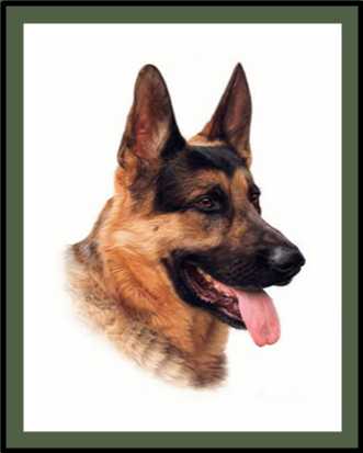 Dog Image from Portrait Loop Animation